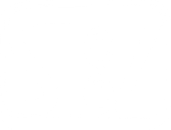 WayTooSteez
